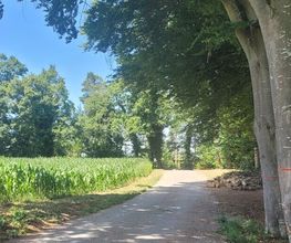 FriedWald Starzach Bild 4