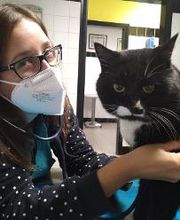 Ospedale Veterinario Ardenza immagine 9