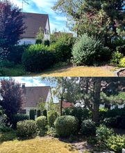 Gartenservice Mark Miess Bild 34