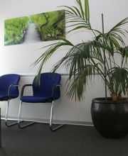 Binggeli Ralph Bild 1