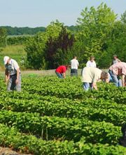 Les Vergers De Rioz image 6