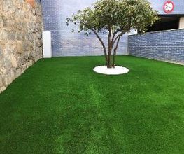 Jardinería FG imagen 4