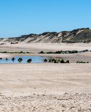 Plage du Verdon sur Mer
(c) Laurent thiébault