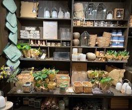 Søstrene Grene Bild 7