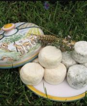 Millet Julia image 1