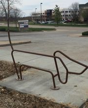 The Pet Doctor - O'Fallon image 14