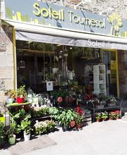 Soleil Et Tournesol image 1