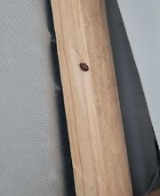 Aven-Pic image 1