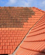 Flamand Edmond image 4