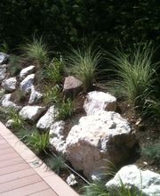 Royal Jardin sarl Bild 2