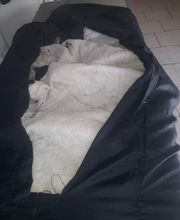 Equi'lavage image 17