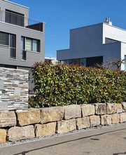 t & t André Tanner Bild 9