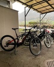 Ivan Bee Velos & Motos Bild 4