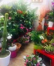 La Boite A Fleurs image 14