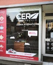 CER ZEBRA FORMATIONS image 5