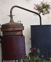 La Brandevinière image 1