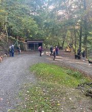 natural.dogs. Bild 11