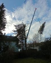 Die Baumsanitäter GalabauM Bild 4