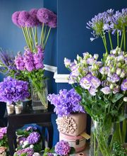 Marie Paolini image 10