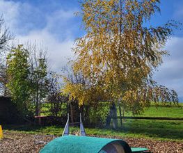Hundeschule Guggisberg Bild 10