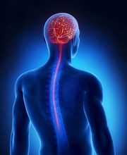 Dr. Jason Nardi image 2