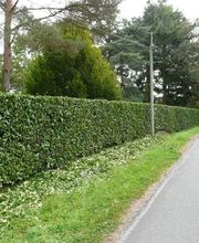 Jardin'Art image 1