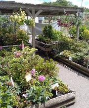 Bricomarché Commercy image 8