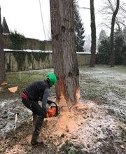 Arborescence image 2