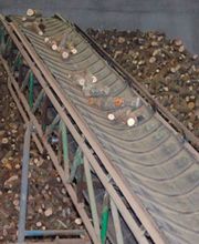 Leñas Julio imagen 10