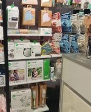 Orchestra PERTUIS image 8