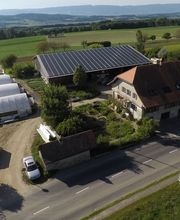 Gfeller maraîcher bio Bild 4