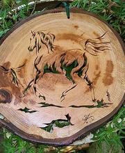 Picaud Philippe image 11