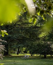 Hotel Lou Paradou image 16