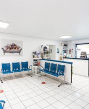 Clinique vétérinaire du Moulin à Vent - Puiseux-Pontoise - Sevetys image 2