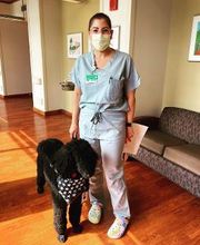 Walnut Lake OBGYN & Wellness image 7