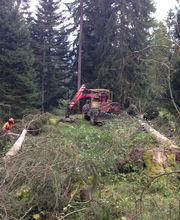 Entreprise forestière Sauser SA Bild 7