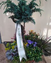 Gartenland Rabovsky e.K. Bild 2