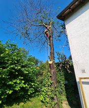 Garten- Landschaftsbau Galatec Bild 2