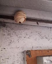 Lefevre Sébastien E.I image 7