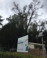 Brac José Elagage Abattage 18 image 20