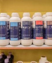 Black Duck Bazaar immagine 16