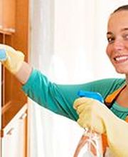 ML Services Quimper image 2