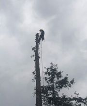 Un Jardin A Votre Image image 4