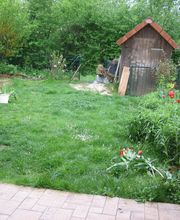 Thomas Beer GVS Dienstleistungen Bild 1