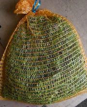 Staudengärtnerei David Müller Bild 15