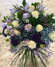Blumen & Marroni Hajdari GmbH Bild 1