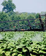 450502-abonos-m-garcia-maquina_fumigando_un_campo.jpg