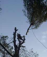Eden Provence Guillaume image 3