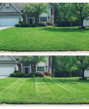 Fiorella Lawn & Landscaping image 16