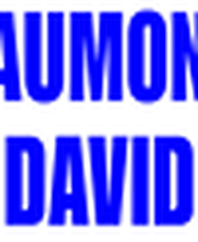 Laumont David image 2
